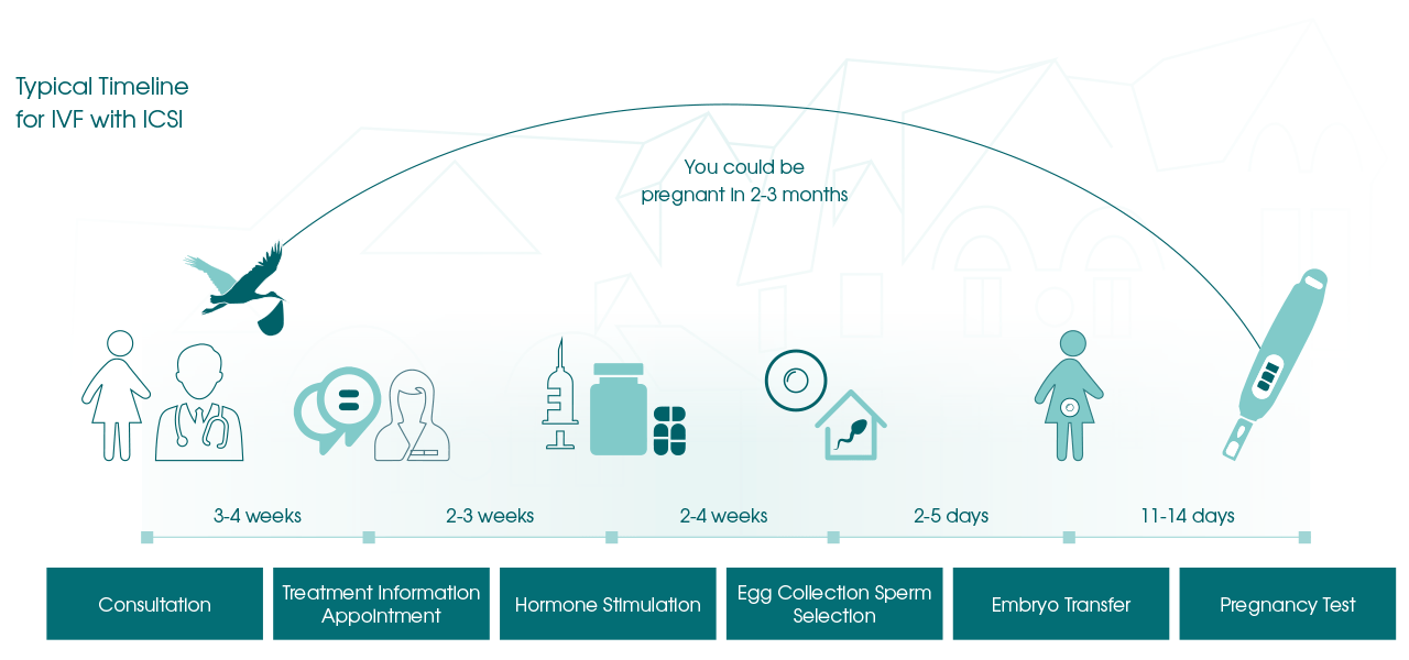 A single female interested in IVF