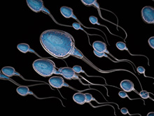 Sperm Bank