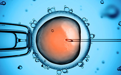 IVF / ICSI / PICSI