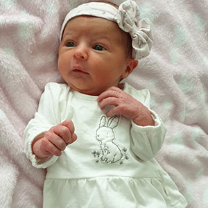 Stunning Molly arrived safe and sound