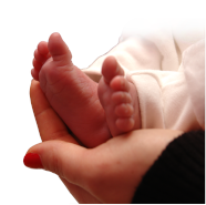 After 5 years of trying to conceive we decided on IVF