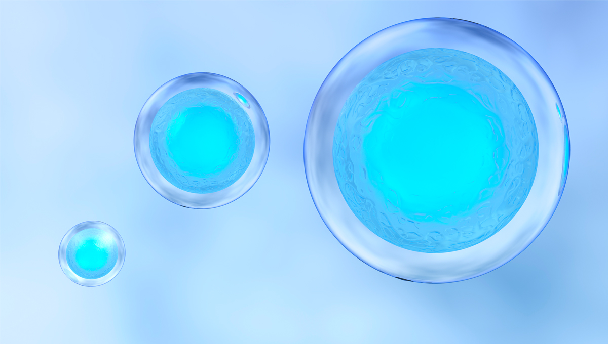 Egg Donation