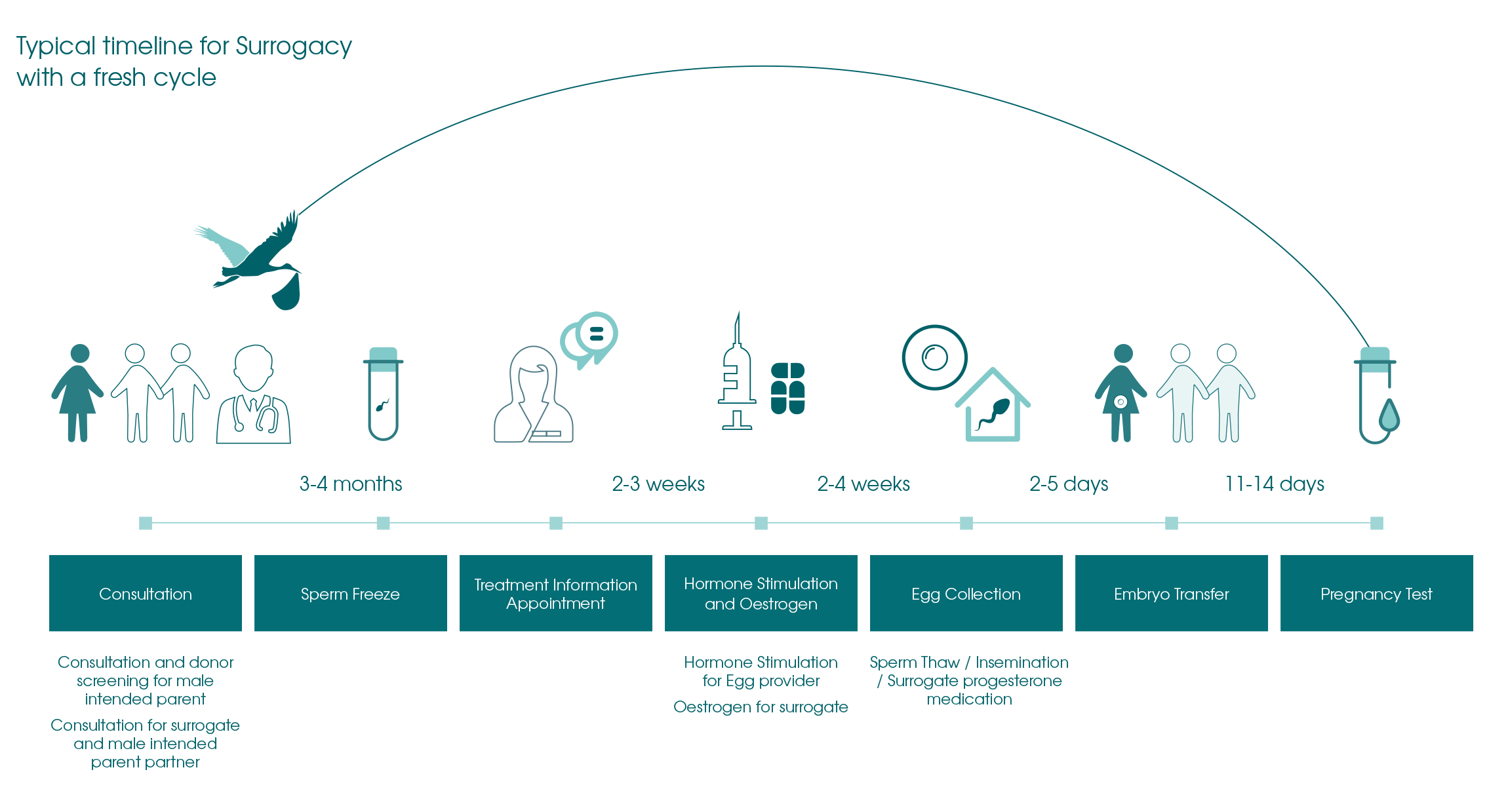 Typical Surrogacy Timeline