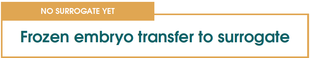 SURROGATE IN PLACE Fresh embryo transfer to surrogate – Egg share donor