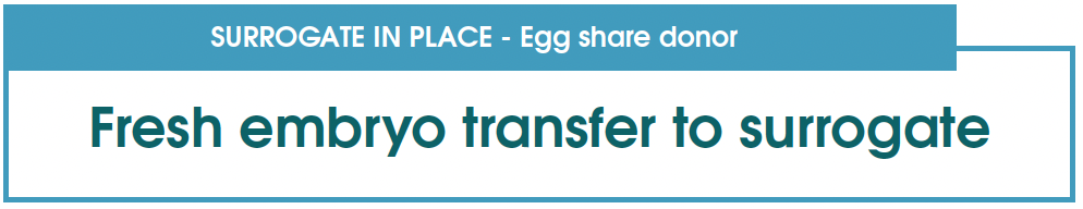 SURROGATE IN PLACE Fresh embryo transfer to surrogate – Altruistic donor