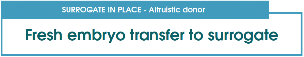 NO SURROGATE YET Frozen embryo transfer to surrogate – Egg share donor