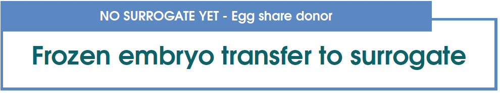 NO SURROGATE YET Frozen embryo transfer to surrogate – Egg share donor