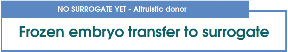 NO SURROGATE YET Frozen embryo transfer to surrogate – Altruistic donor