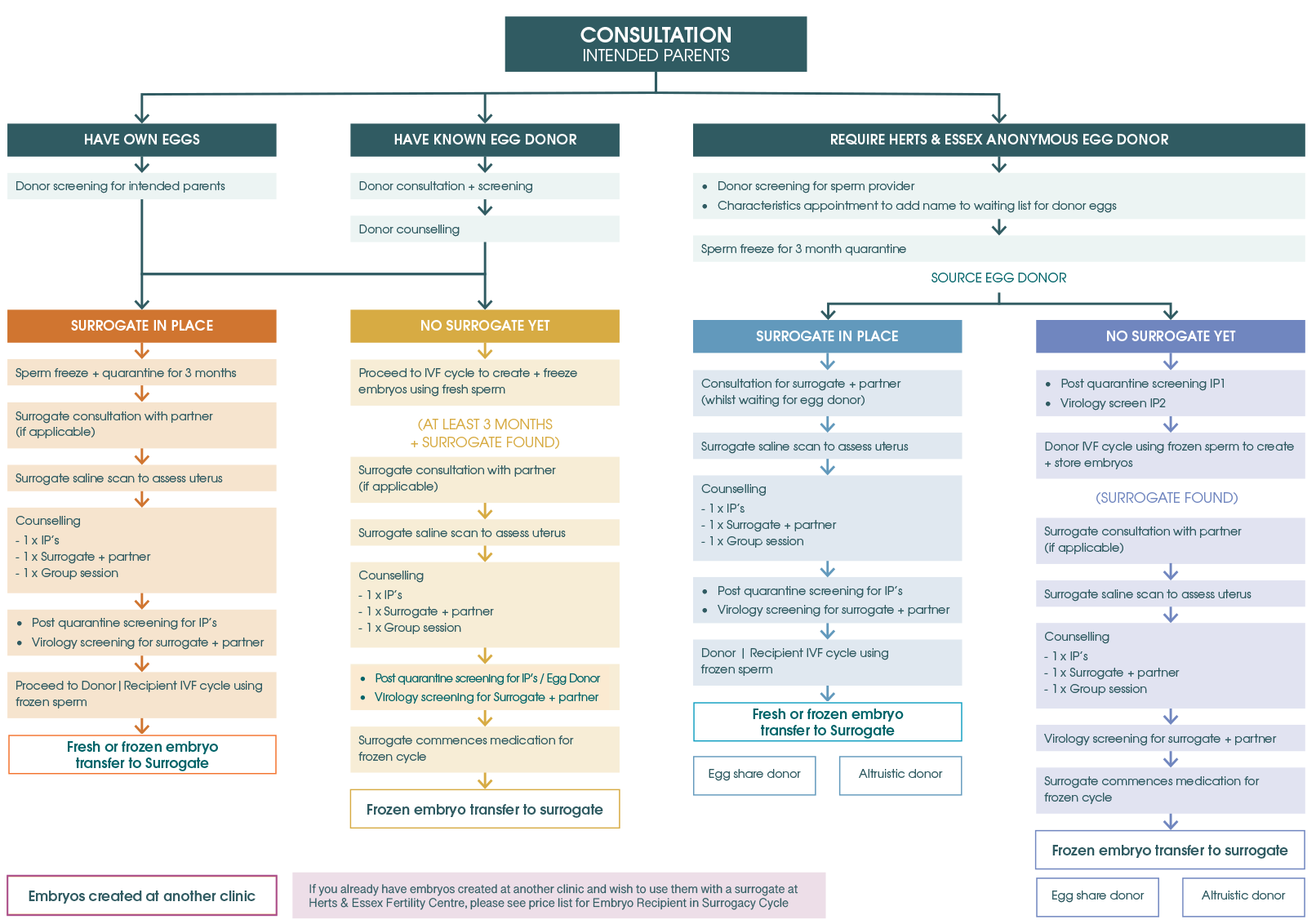 Surrogacy Journey